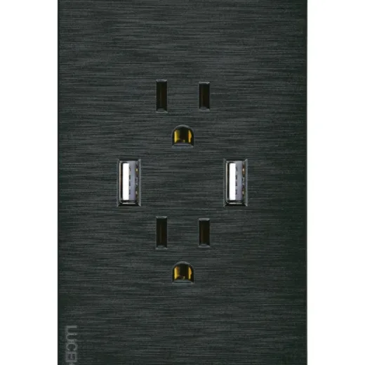 Placa Flat con Contacto Duplex Negro y 2 Entradas USB